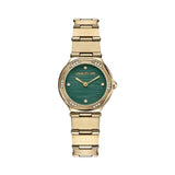 Cerruti 1881 Rendinara Women's Gold Steel Watch CIWLG0060502