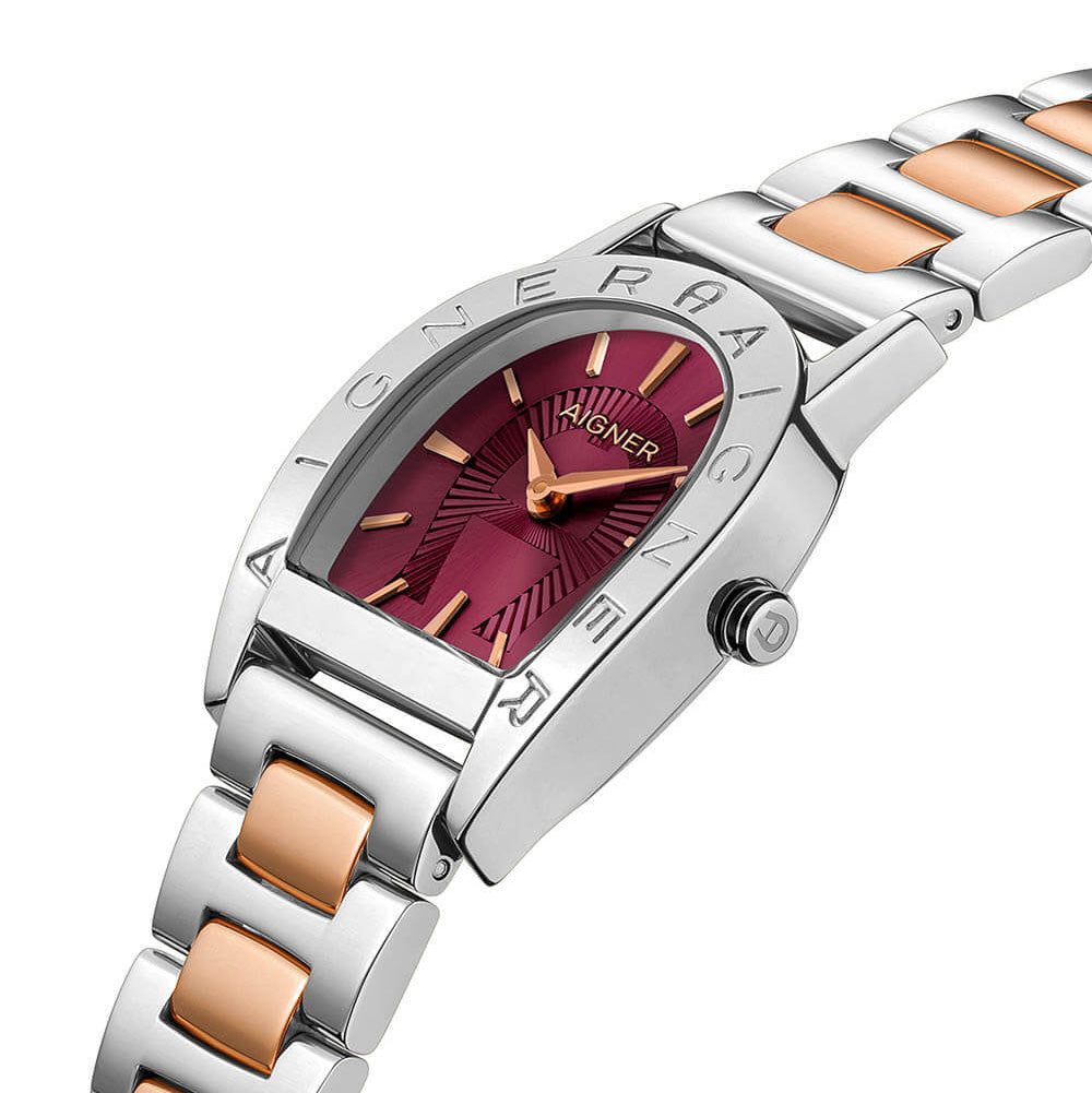 Aigner Pisa Swiss Made Women's Watch ARWLG0000601 - Image 2
